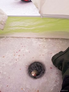 20180119_101129.jpg
