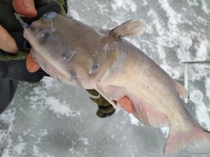 IMG_20180119_085023.jpg