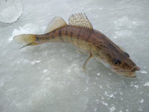 IMG_20180119_103122.jpg