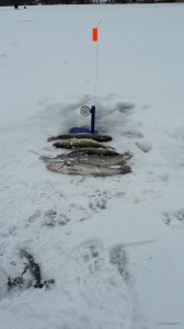 20180120_131520.jpg