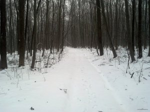 IMG_20180120_085613_599[1].jpg