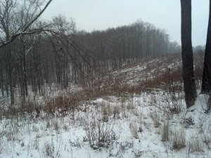 IMG_20180120_151057_204[1].jpg