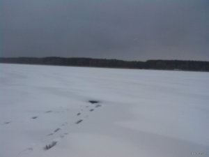 2018120144524.jpg