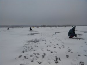 2018120144517.jpg