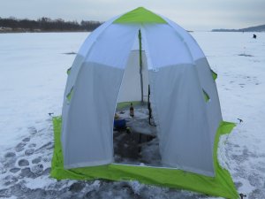 IMG_8272.JPG