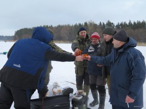 IMG_8288.JPG