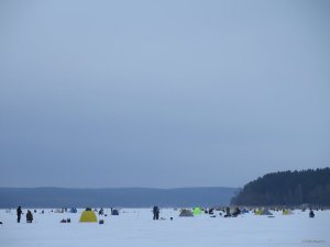 IMG_8290.JPG