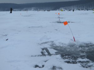 IMG_8295.JPG