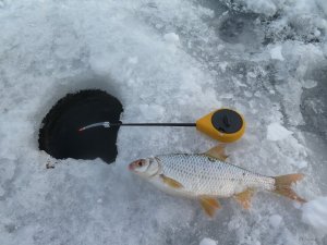 IMG_8297.JPG