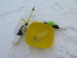 IMG_8321.JPG