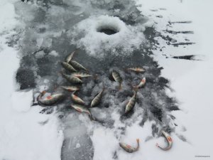 IMG_8318.JPG