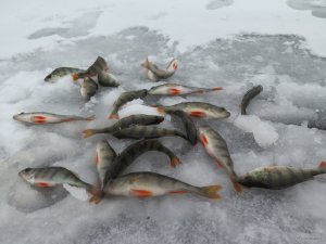 IMG_8319.JPG