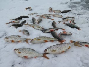 IMG_8320.JPG