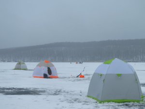 IMG_8330.JPG