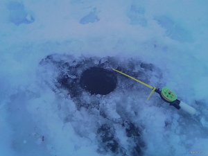 IMG_20180120_074724.jpg