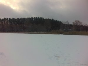 IMG_20180120_085314.jpg