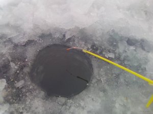 IMG_20180120_085325.jpg