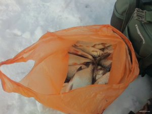 IMG_20180120_121500.jpg