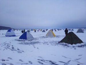 IMG_20180120_085844.jpg