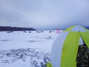 IMG_20180120_085851.jpg