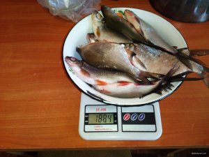 IMG_20180121_085556.jpg