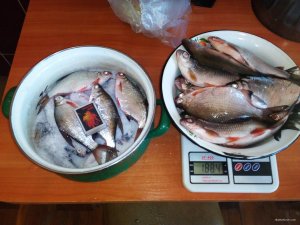 IMG_20180121_090055.jpg