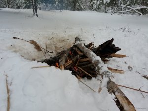 20180121_121014.jpg