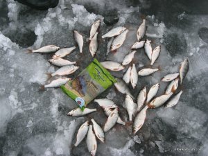 IMG_3080.JPG