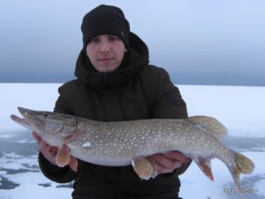 IMG_3058.JPG