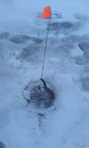 IMG_20180120_162154.jpg