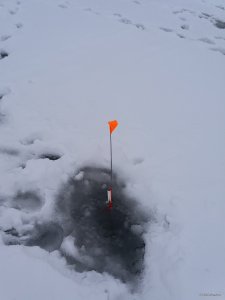 20180121_080448.jpg