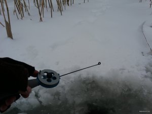 20180121_104515.jpg