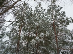 20180121_121027.jpg
