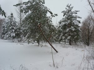 20180121_121019.jpg