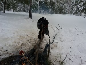 20180121_123059.jpg