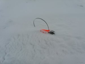 20180121_124816.jpg