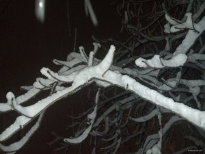 IMG_20180121_041520_717[1].jpg