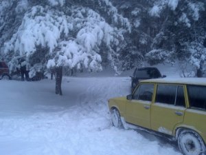IMG_20180121_073911_384[1].jpg