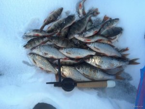 IMG_20180121_155057_228[1].jpg
