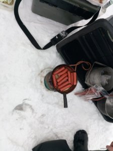 IMG_20180120_085937[1].jpg