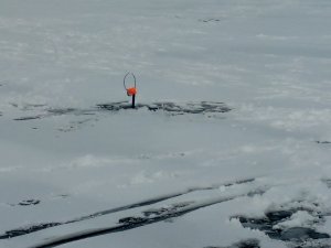 IMG_20180120_111454[1].jpg