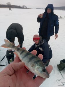 IMG_20180120_094009[1].jpg