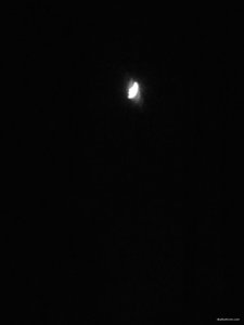 IMG_20180121_171029.jpg