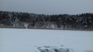 20180122_125748.jpg