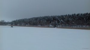 20180122_125934.jpg