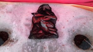 20180122_151758.jpg