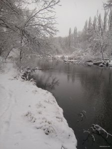 IMG_20180121_082753.jpg