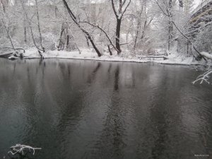 IMG_20180121_082812.jpg
