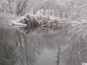 IMG_20180121_083908.jpg