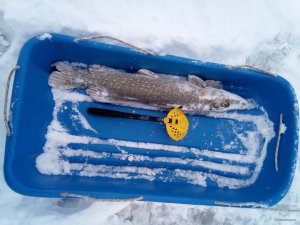 IMG_20180122_101112.jpg